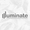 illuminate